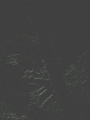 DSC_0000019_p905.jpg
