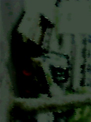 DSC_0000028_p944.jpg