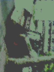 DSC_0000028_p985.jpg