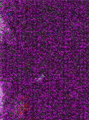 DSC_0000036_p409.jpg