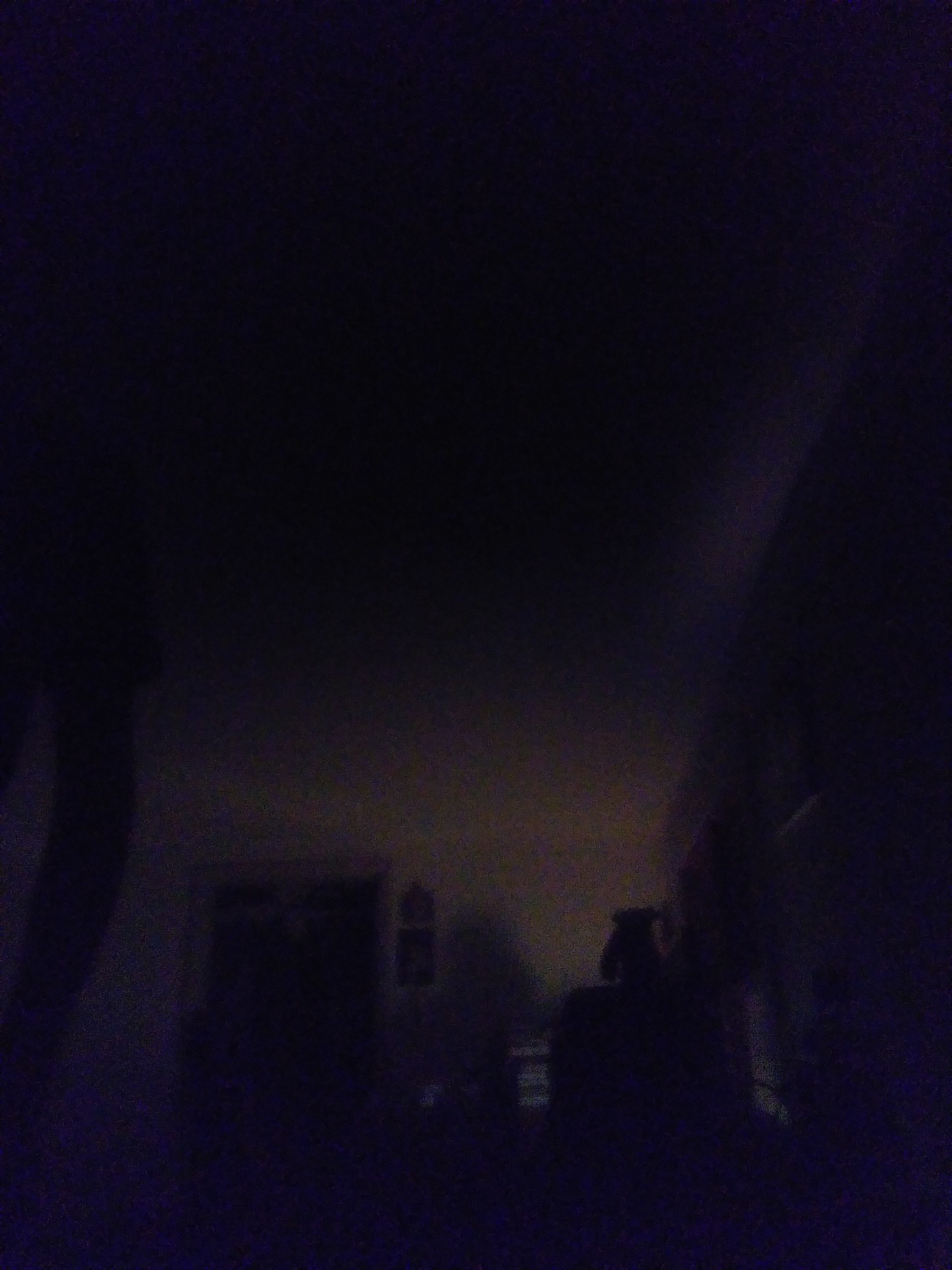 IMG_20191115_193255.jpg
