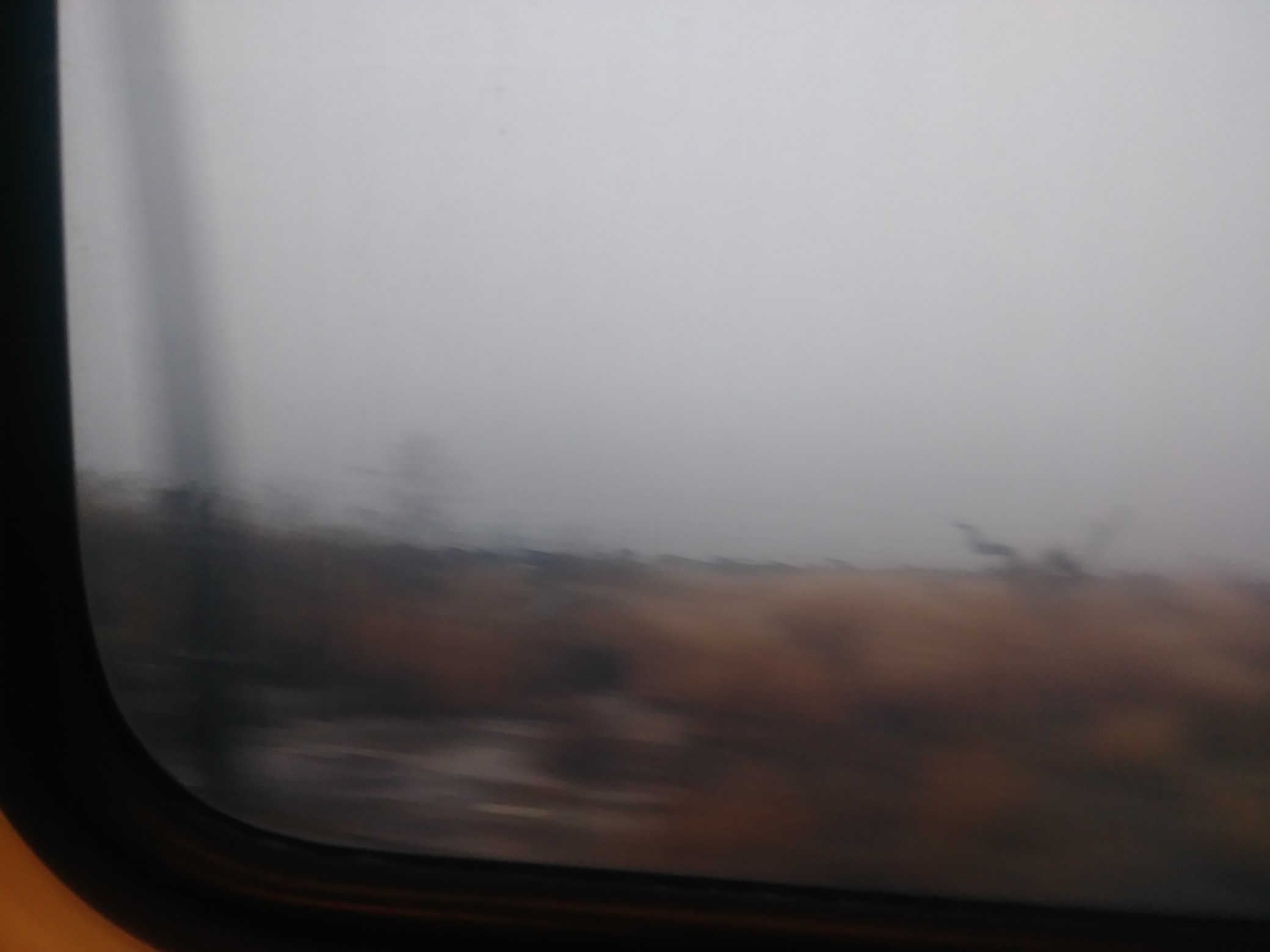 IMG_20191214_143704.jpg