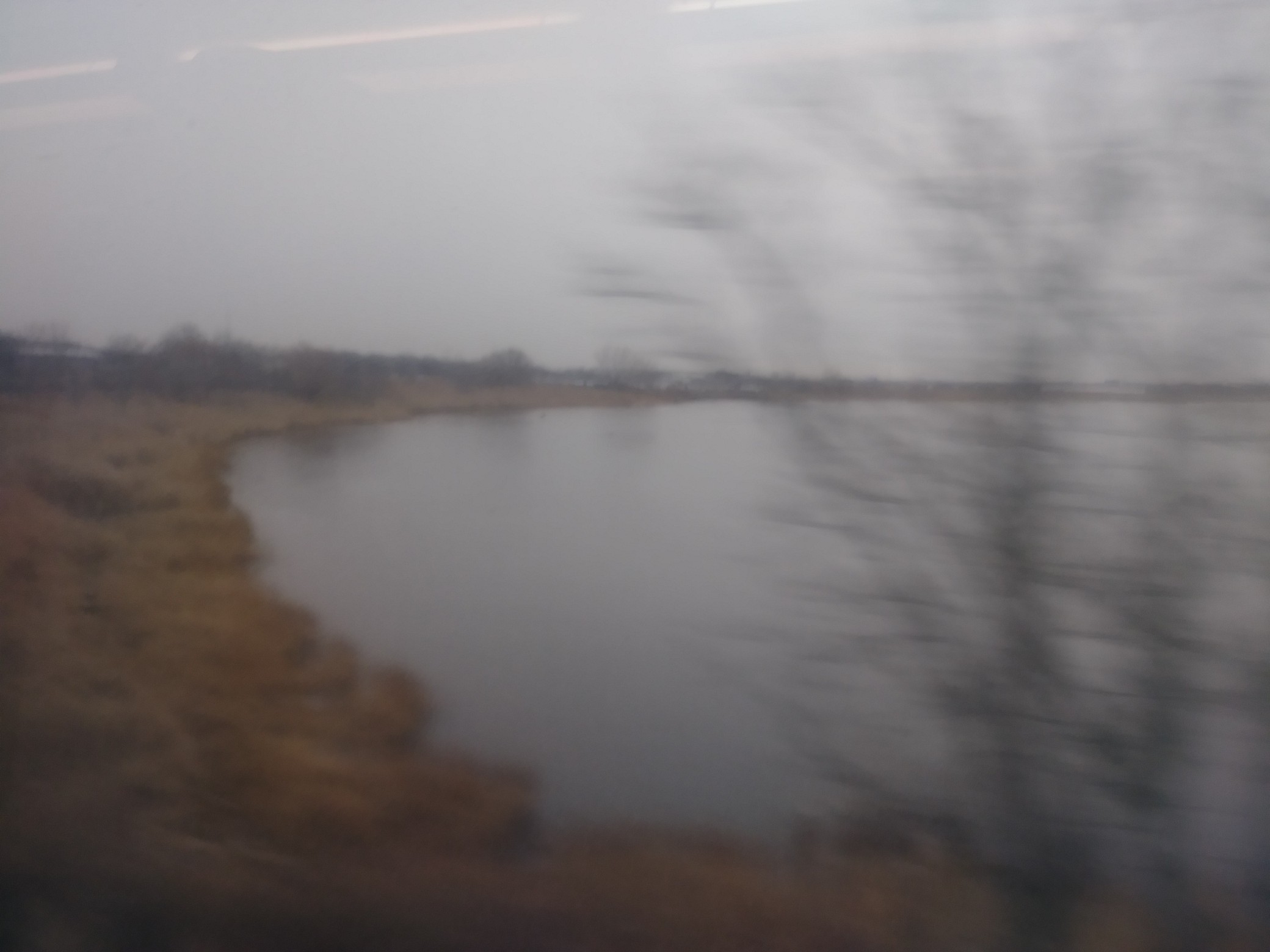 IMG_20191216_114010.jpg