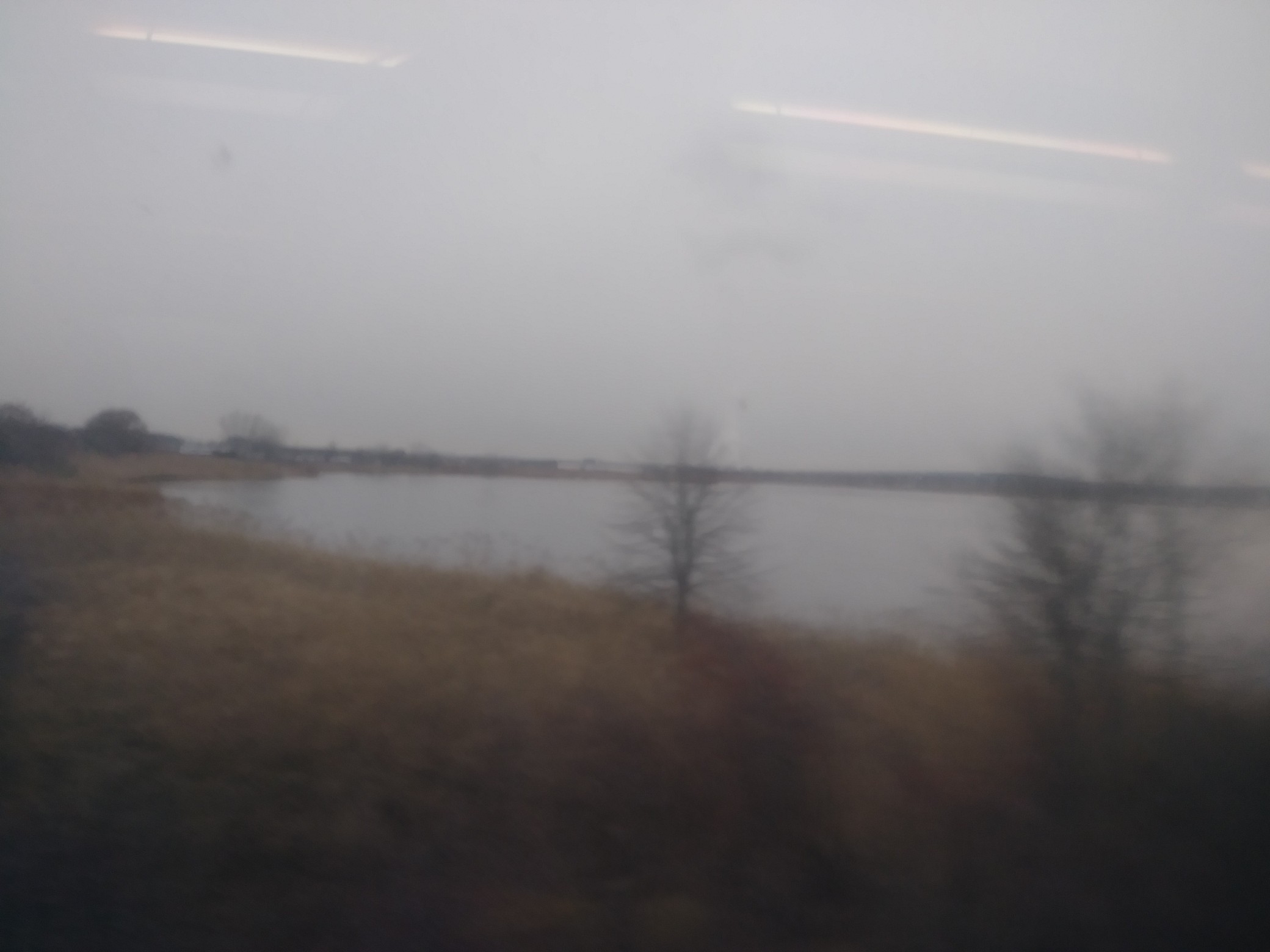 IMG_20191216_114014.jpg