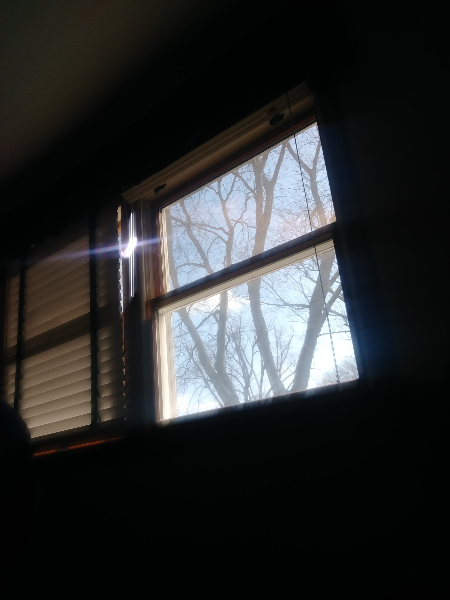 IMG_20191218_113345.jpg