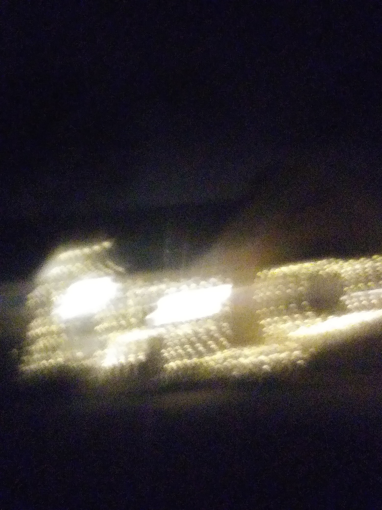 IMG_20191219_220645.jpg