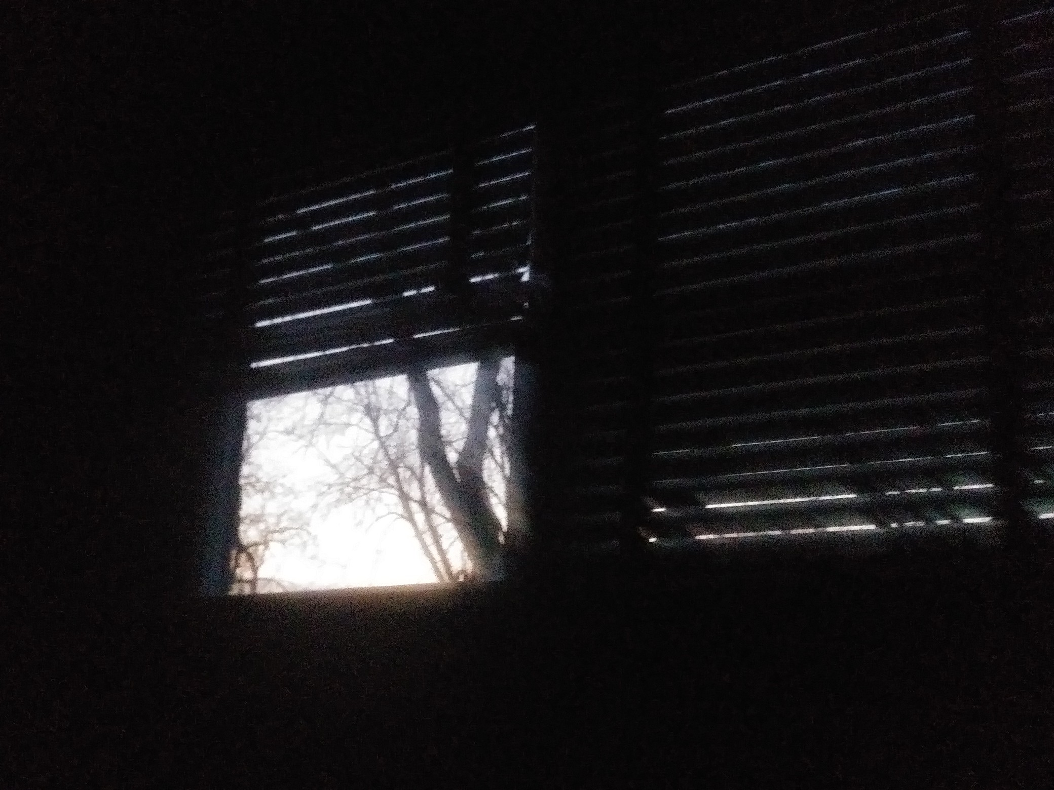 IMG_20200108_065436.jpg