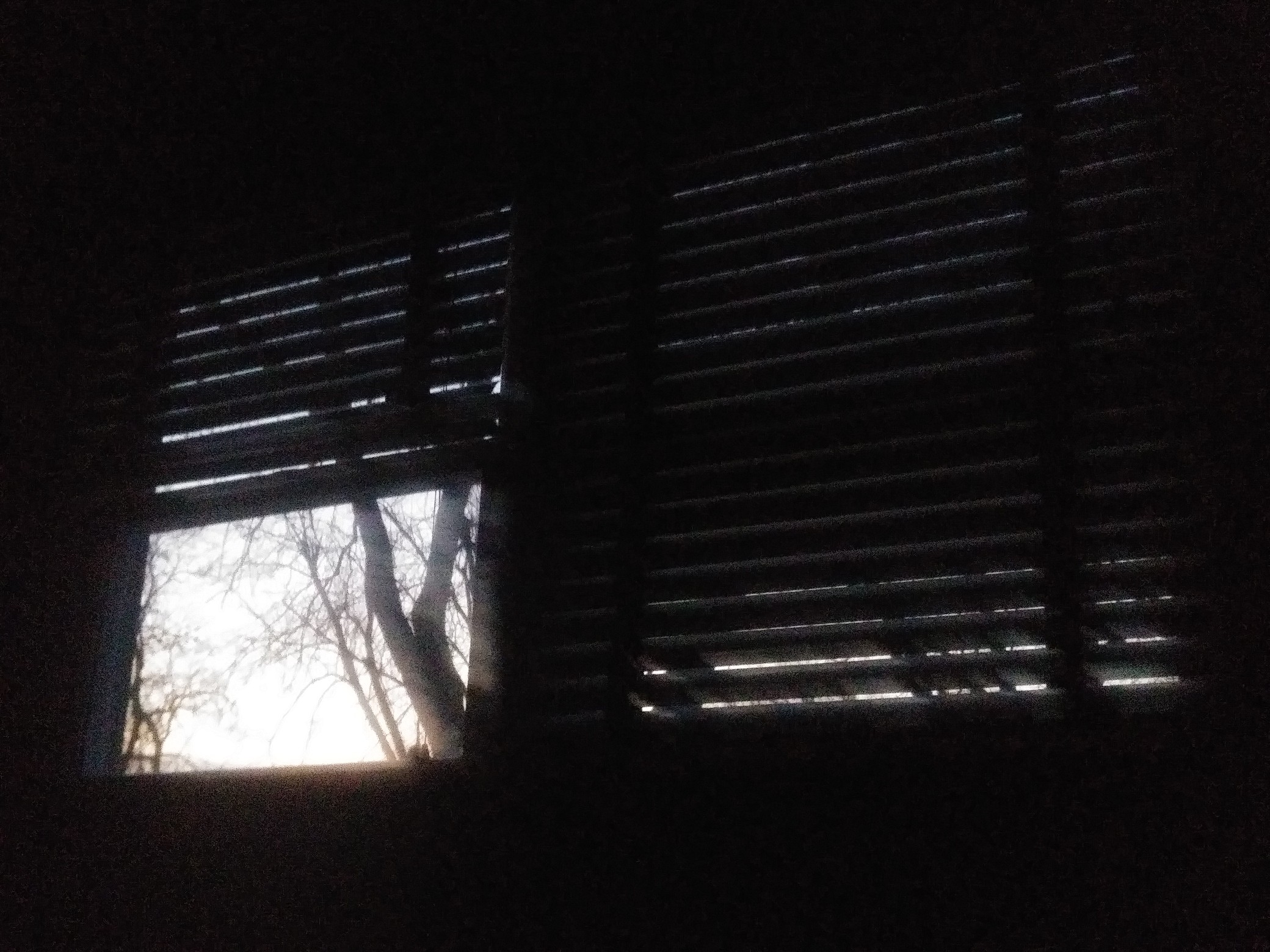 IMG_20200108_065449.jpg