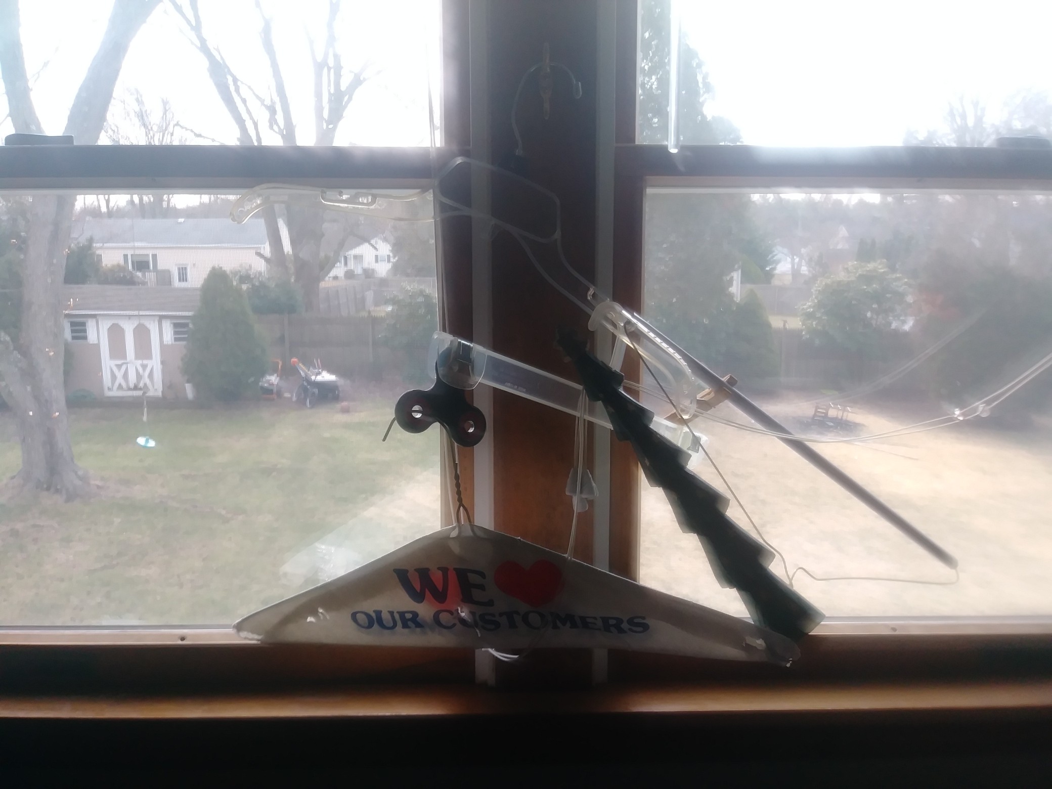 IMG_20200216_102609.jpg