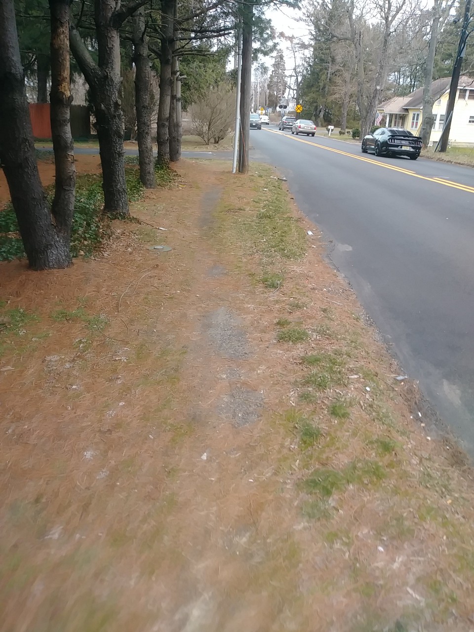 IMG_20200220_112349.jpg