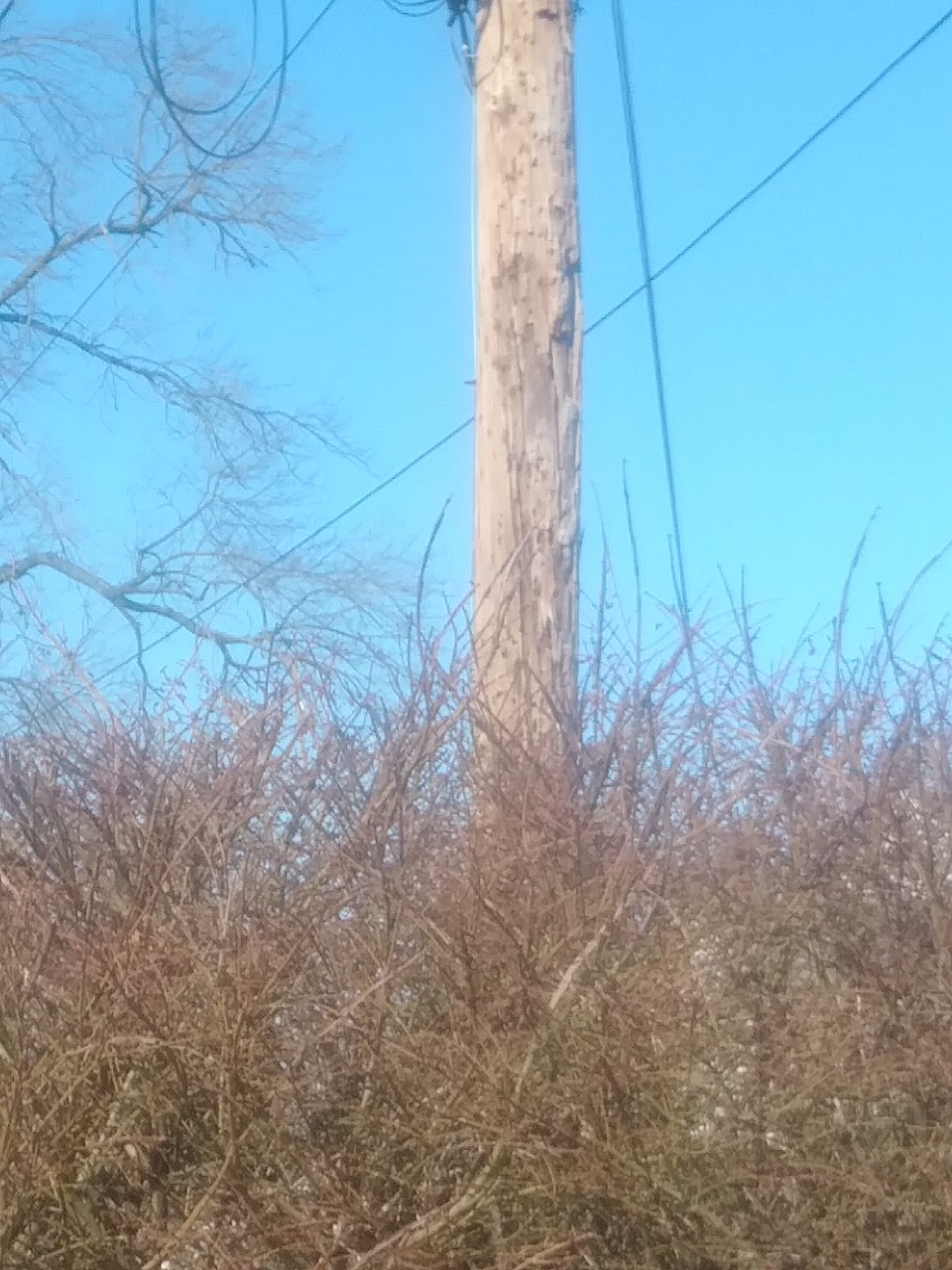 IMG_20200222_133111.jpg