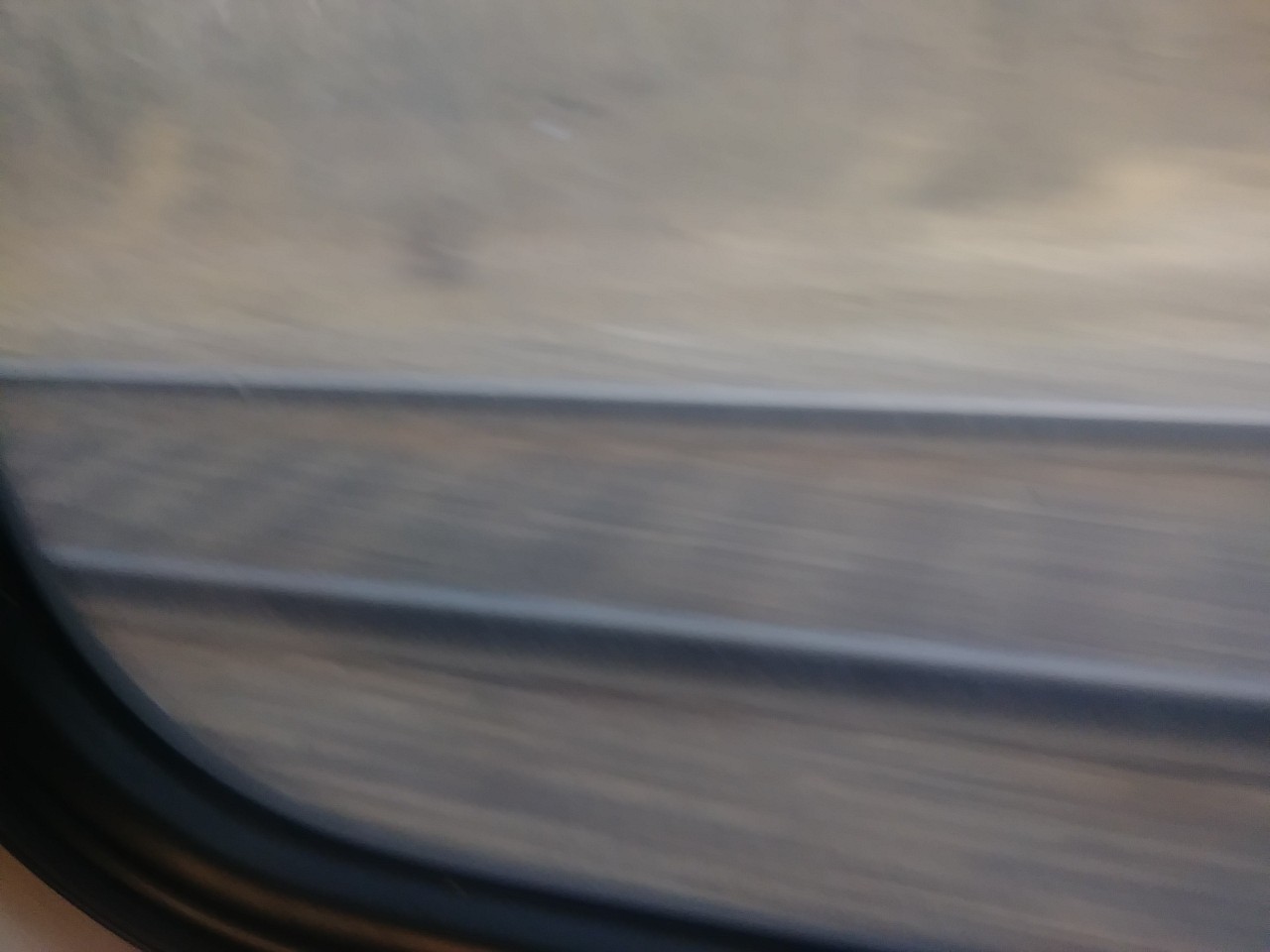 IMG_20200228_155003.jpg