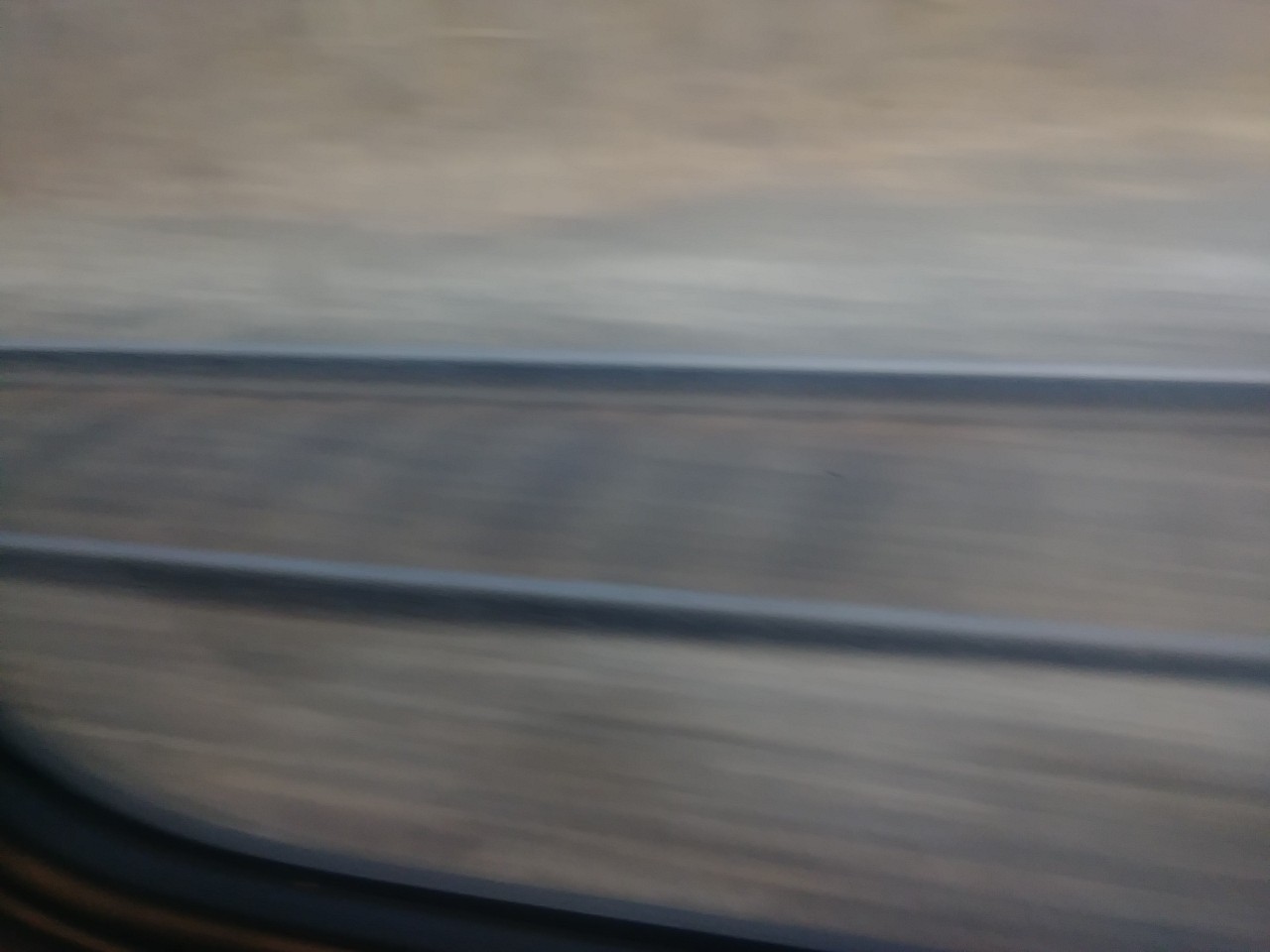 IMG_20200228_155005.jpg