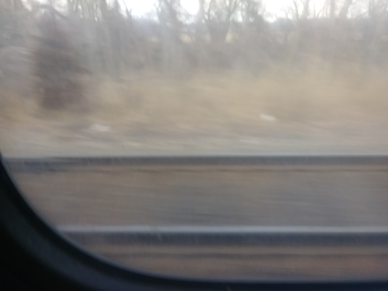 IMG_20200228_155010.jpg