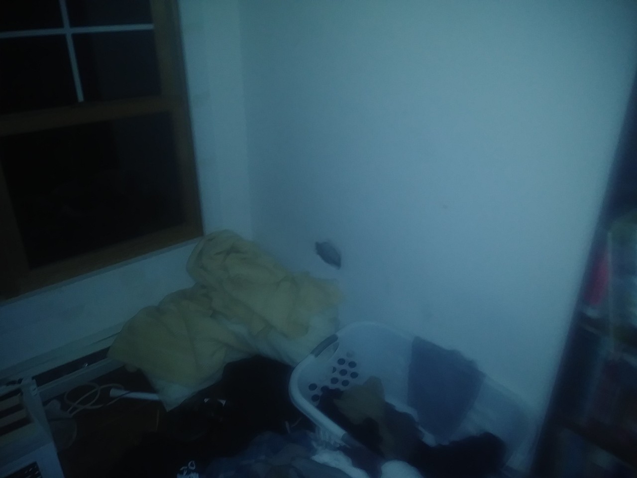 IMG_20200313_231616.jpg
