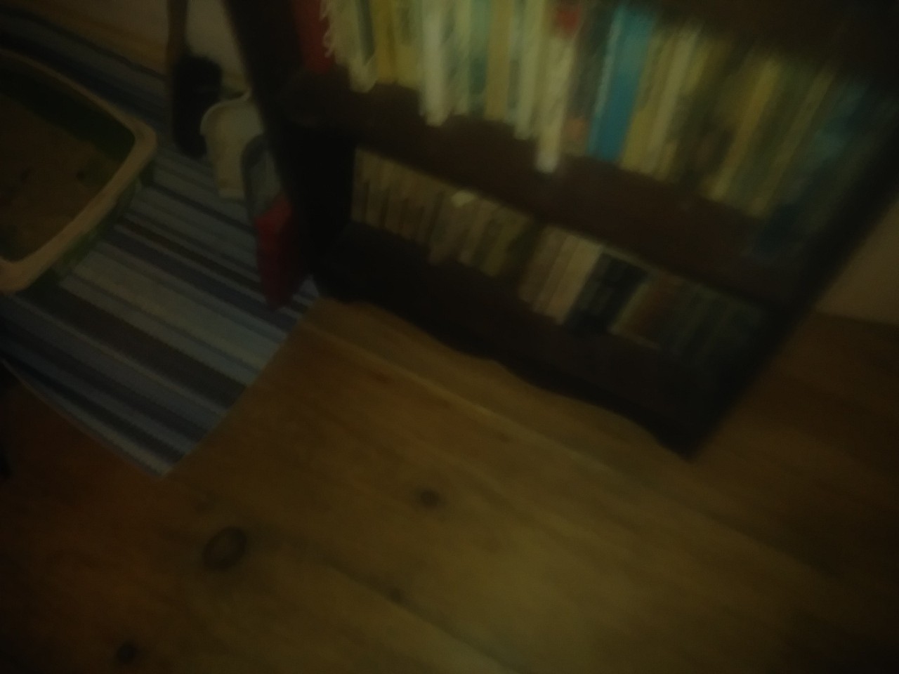 IMG_20200314_004139.jpg