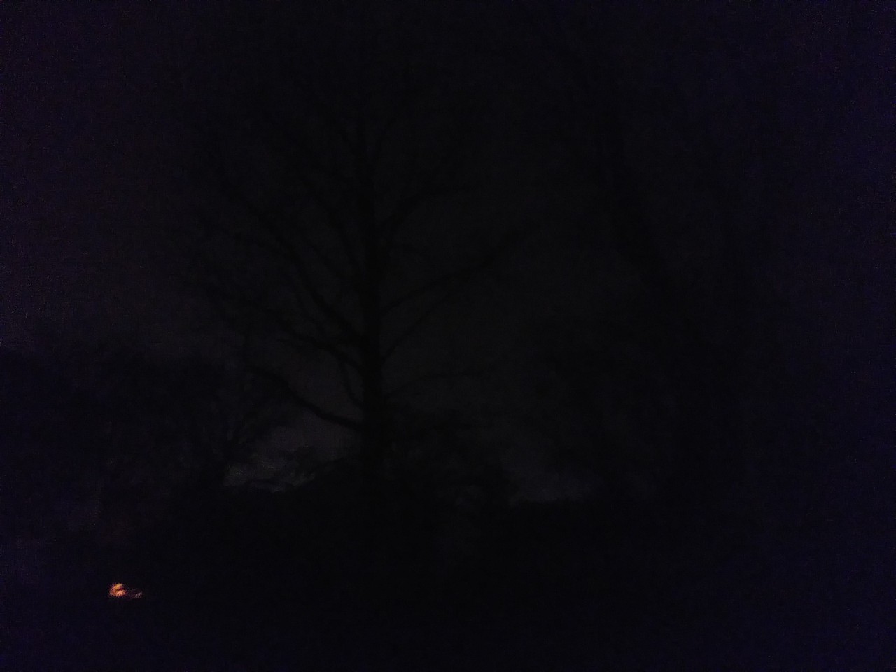 IMG_20200320_033652.jpg