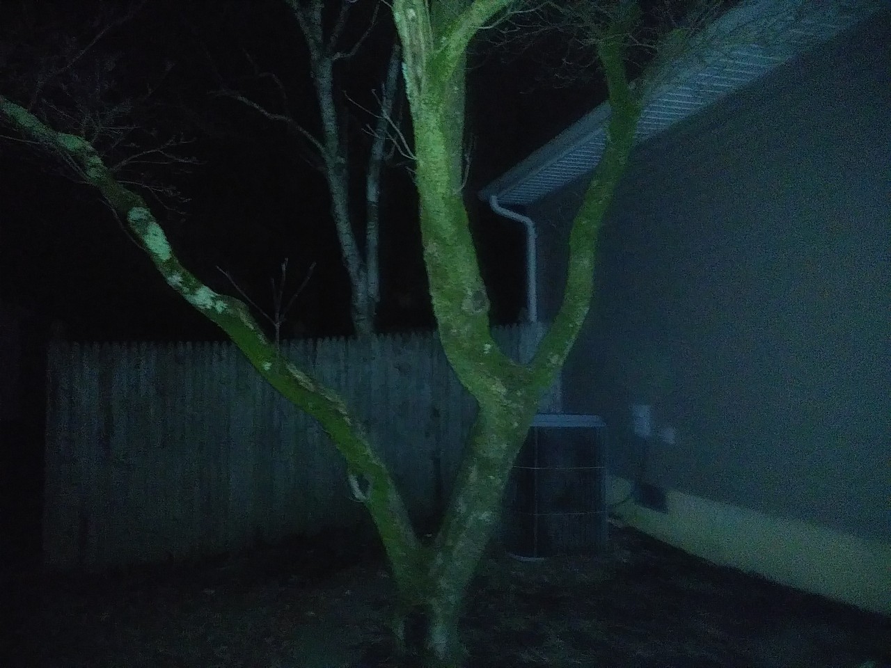 IMG_20200320_033909.jpg