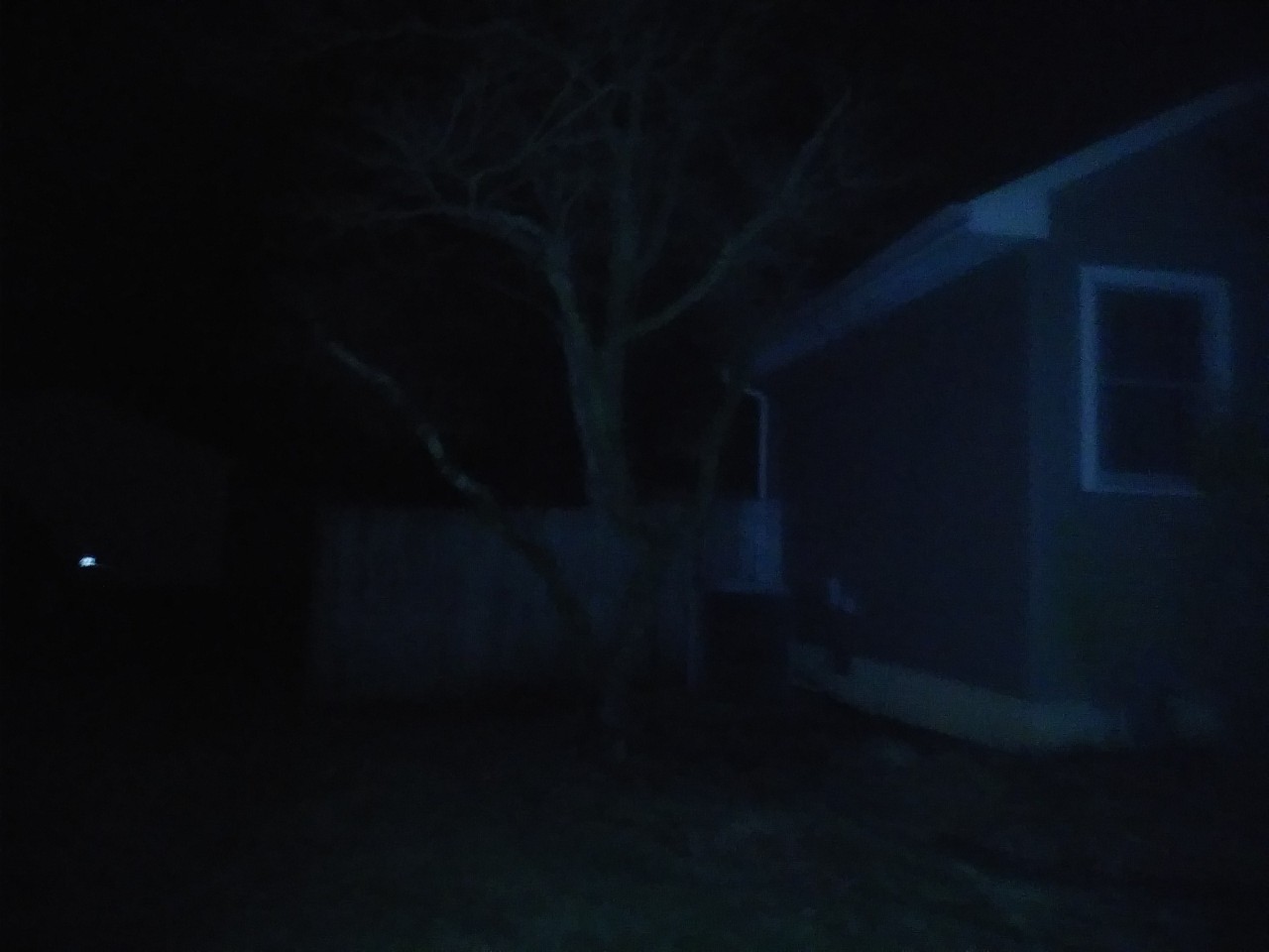 IMG_20200320_033924.jpg