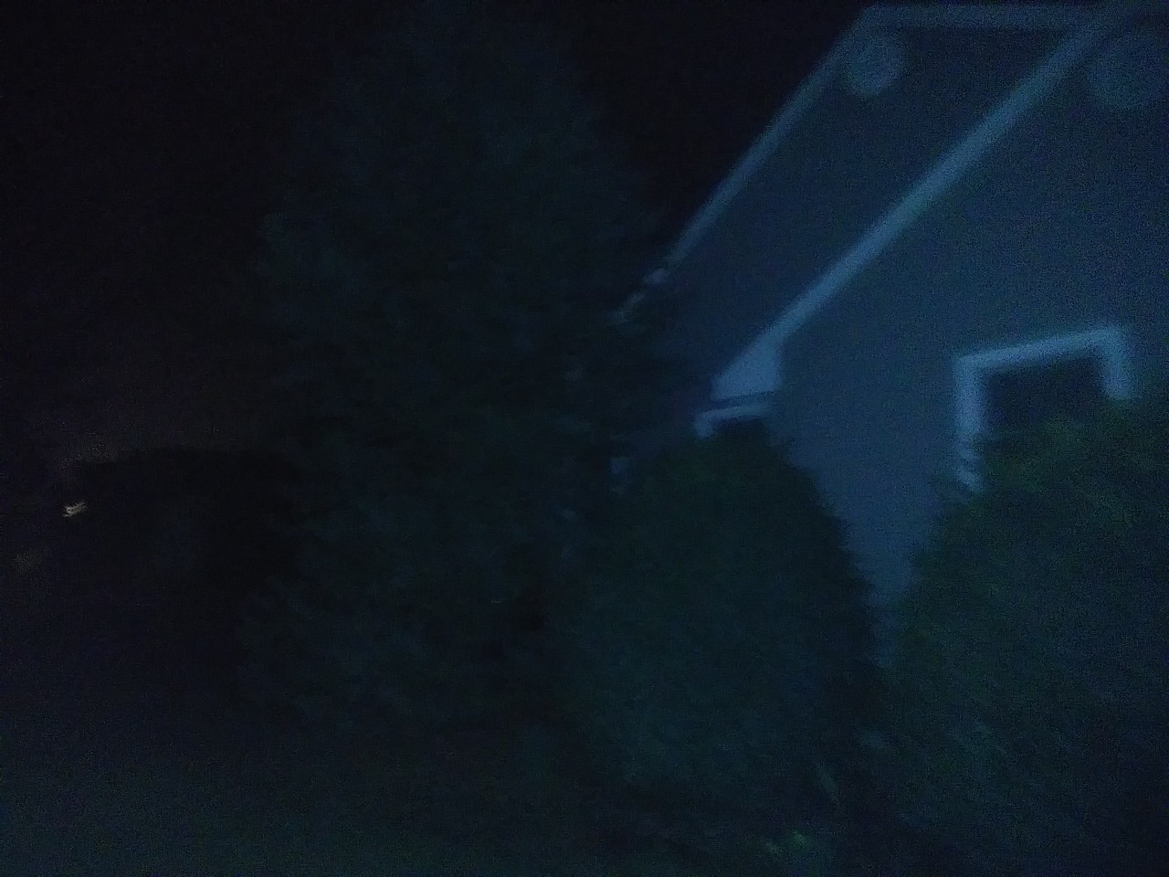 IMG_20200320_033955.jpg
