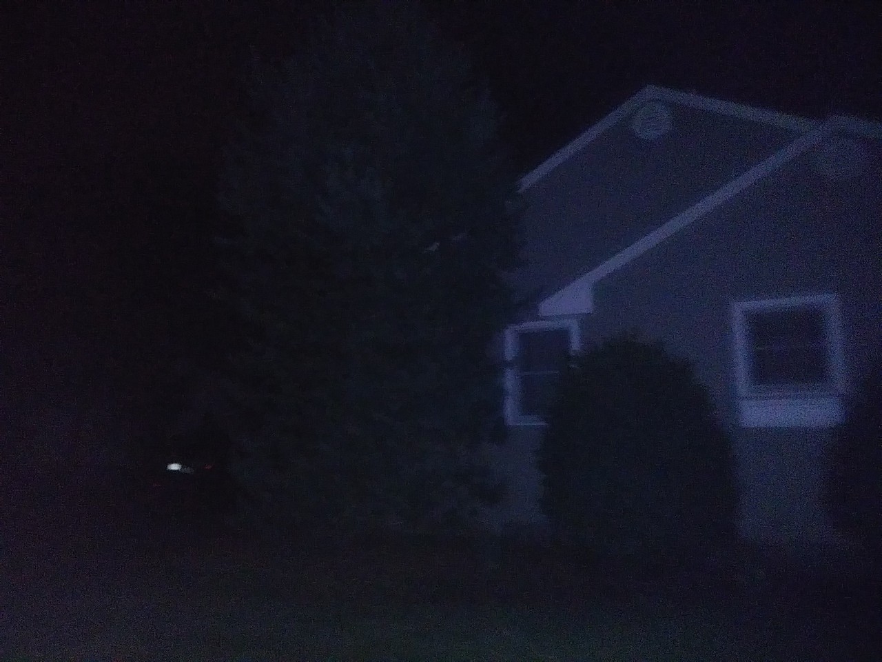 IMG_20200320_034124.jpg