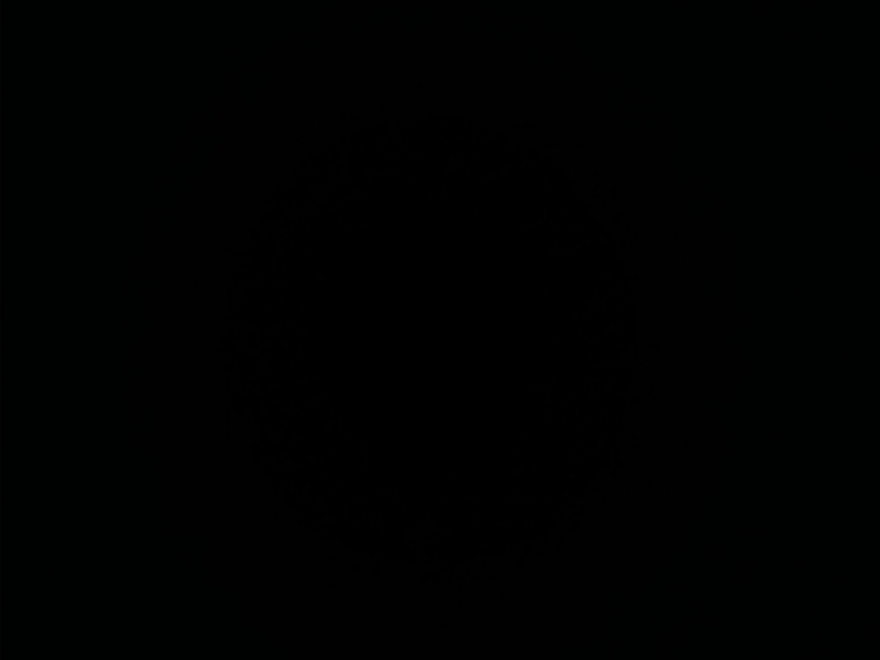 IMG_20200320_040227.jpg