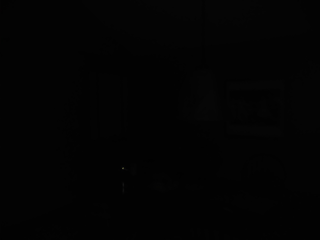 IMG_20200320_040300.jpg