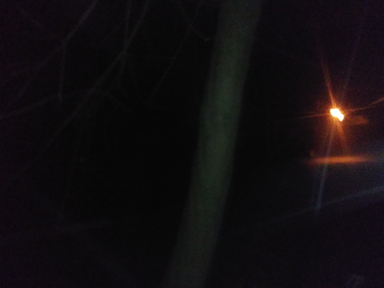 IMG_20200320_045429.jpg