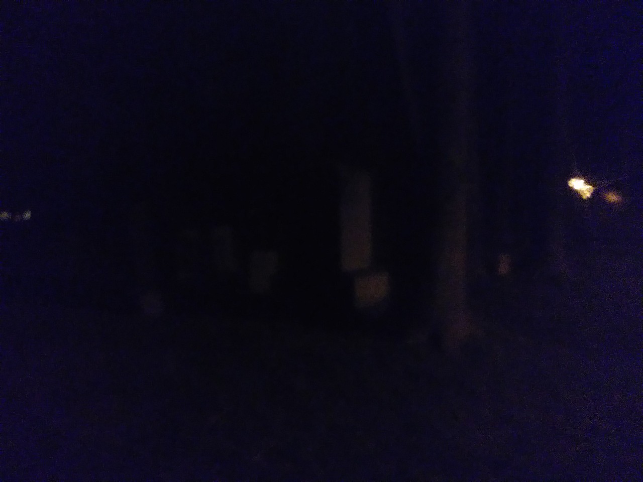 IMG_20200320_045653.jpg