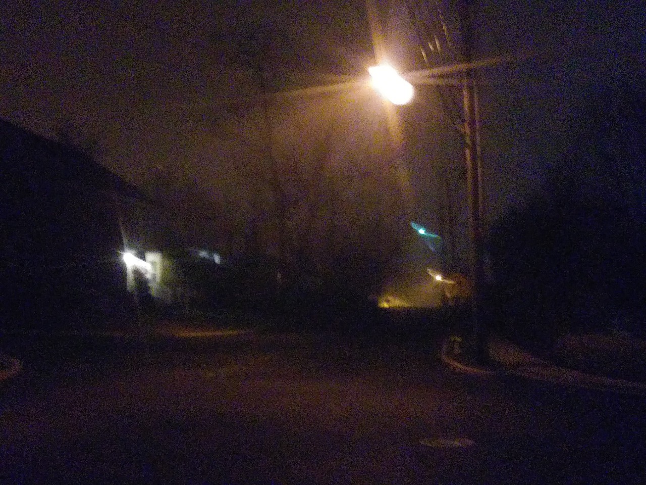 IMG_20200320_052249.jpg