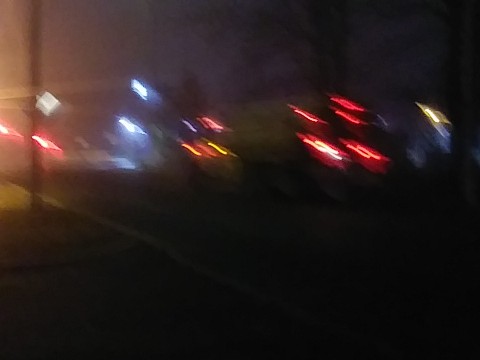 IMG_20200320_054729.jpg