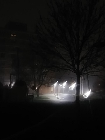 IMG_20200320_055249.jpg