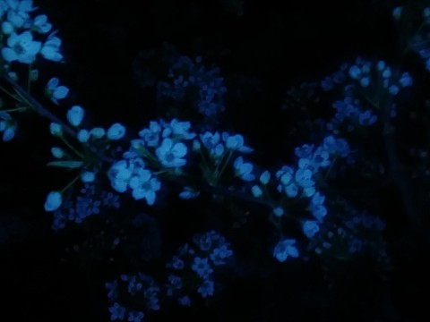 IMG_20200320_055739.jpg