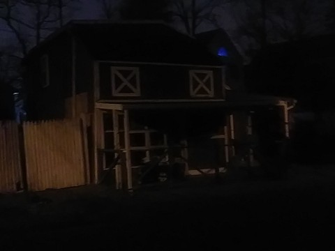 IMG_20200320_060121.jpg
