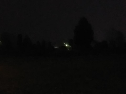 IMG_20200320_062622.jpg