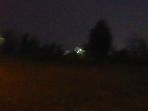 IMG_20200320_062630.jpg