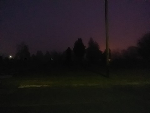 IMG_20200320_062806.jpg