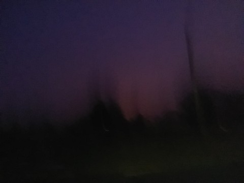 IMG_20200320_062828.jpg