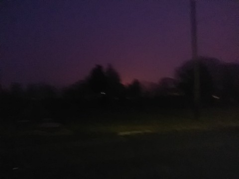 IMG_20200320_062831.jpg
