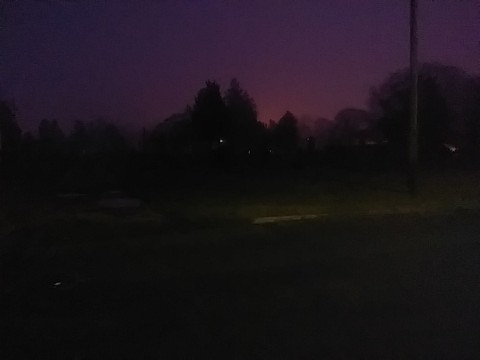 IMG_20200320_062834.jpg