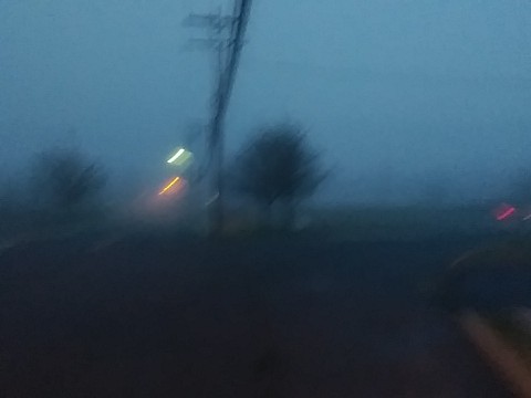 IMG_20200320_064353.jpg