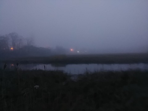 IMG_20200320_064734.jpg