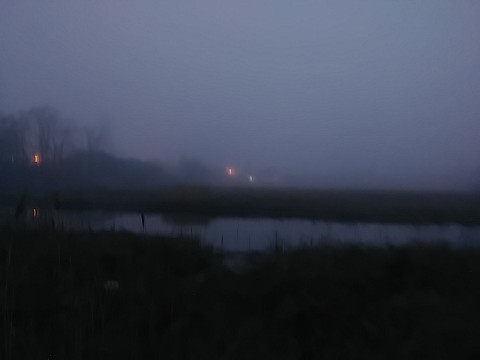 IMG_20200320_064740.jpg