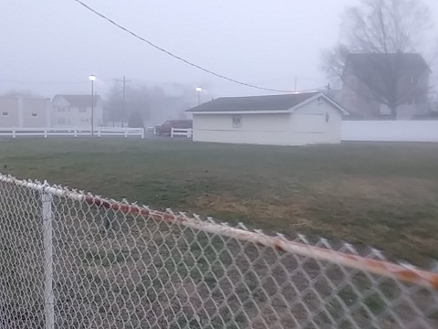 IMG_20200320_070245.jpg
