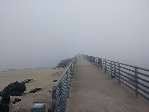 IMG_20200320_073056.jpg