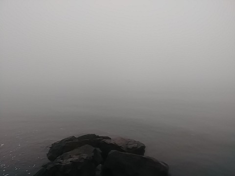 IMG_20200320_073222.jpg