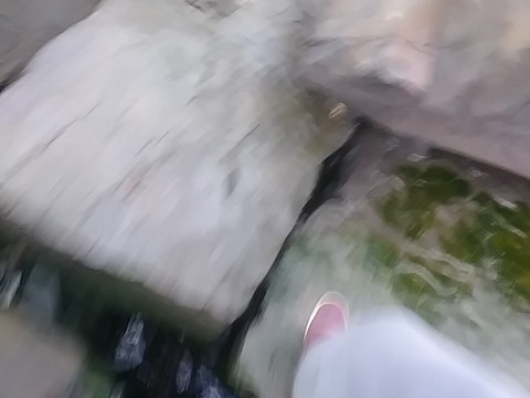 IMG_20200320_073348.jpg