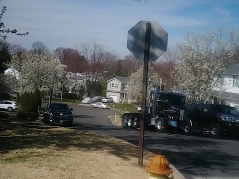 IMG_20200327_110425.jpg