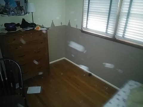 IMG_20200329_141723.jpg