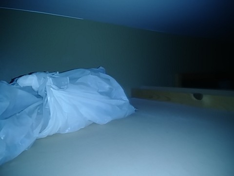 IMG_20200329_142206.jpg